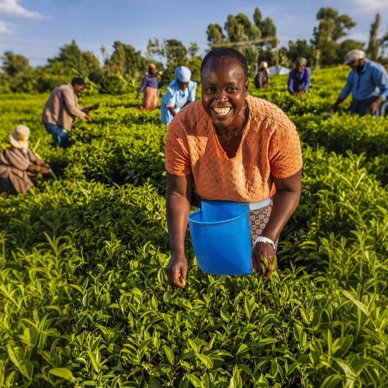 Large Capacity Gardening Apron -Clean Design - Ideal for Planting, Harvesting, Weeding, Seed Starting - Gardening Tools